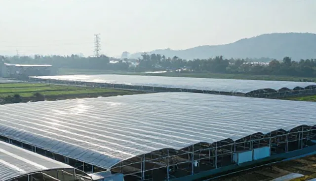 技术培训在问题解决中的使用与维护建议